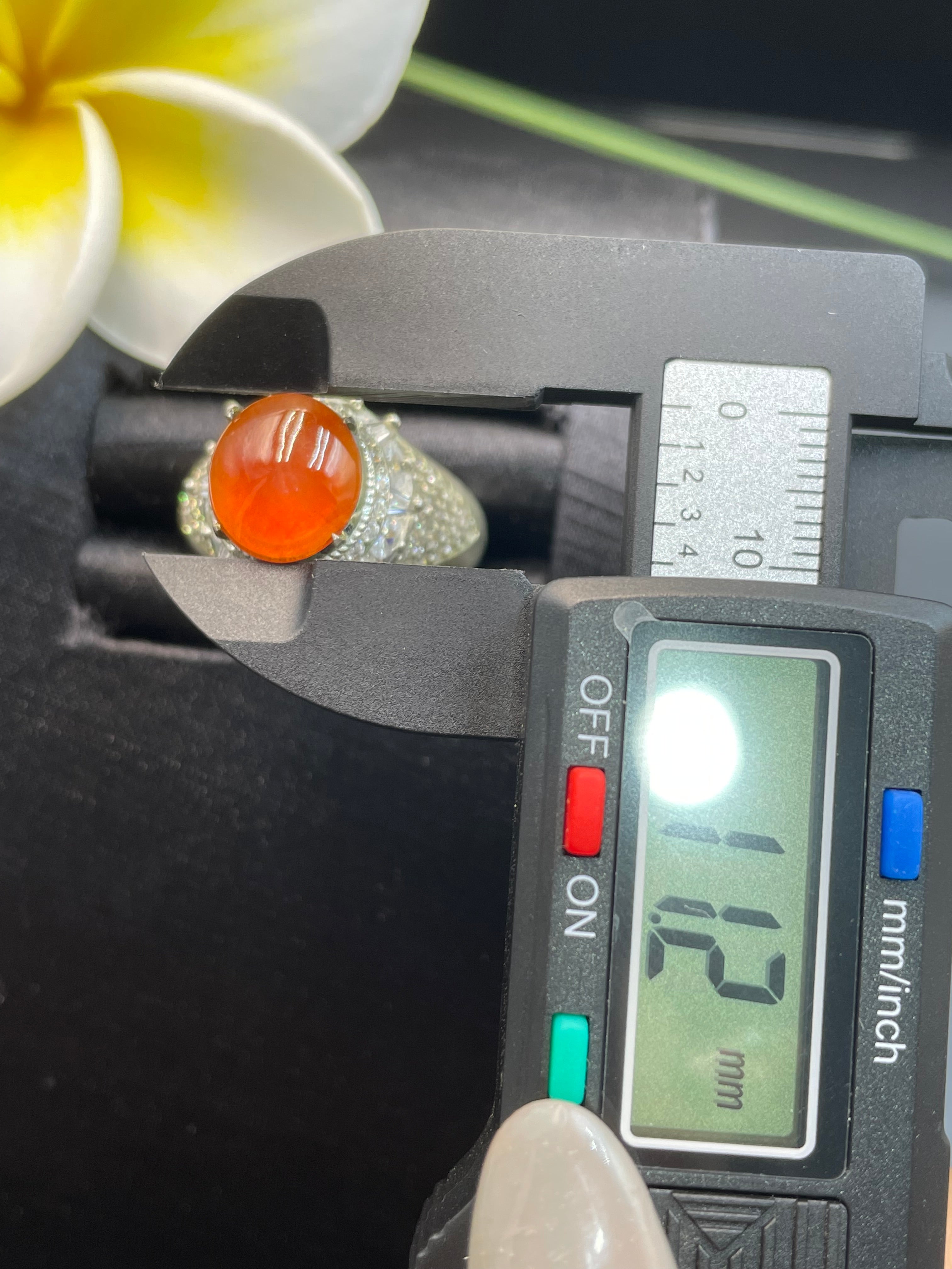 紅翡蛋麵