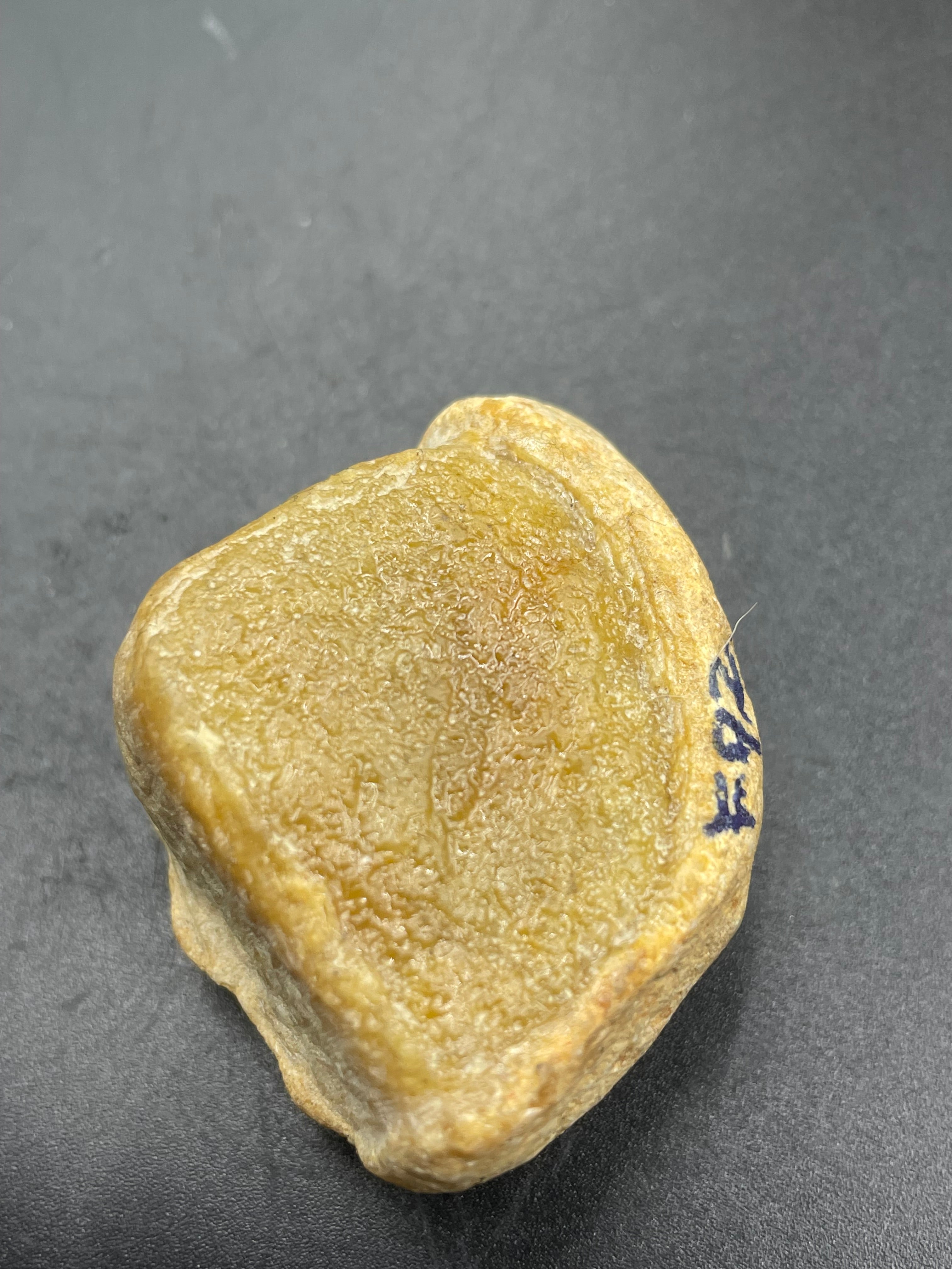 原石