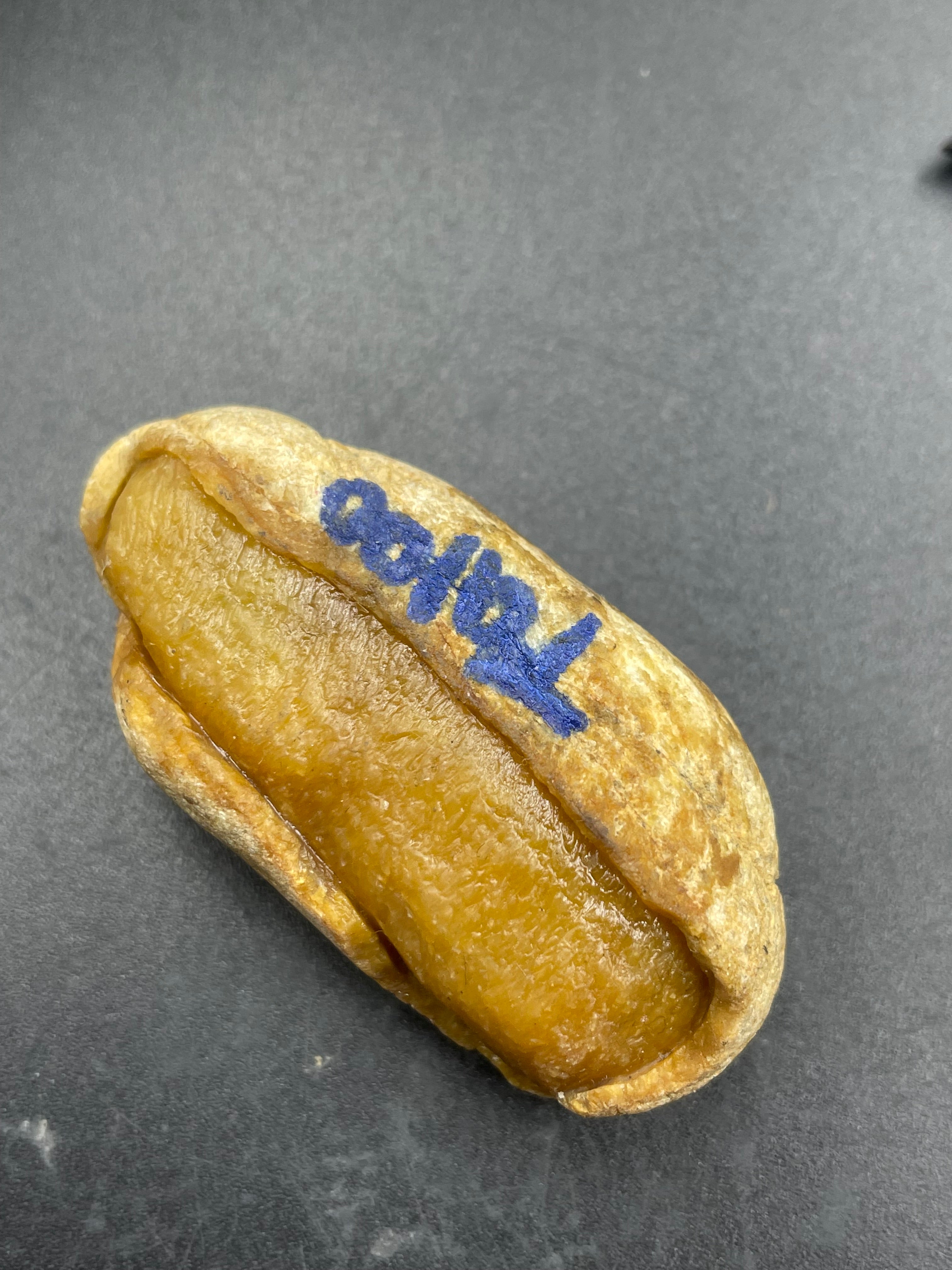 原石半明料